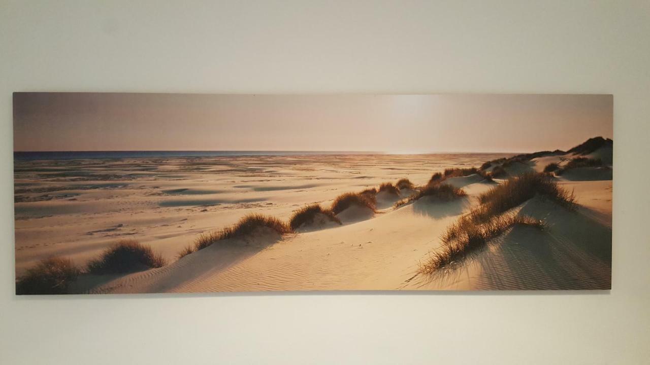 Apartament De Schelp 37 Zandvoort Zewnętrze zdjęcie